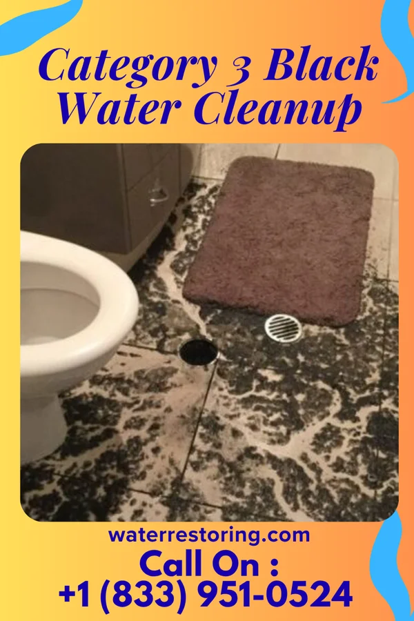Category 3 Black Water Cleanup in Miltonsburg, OH