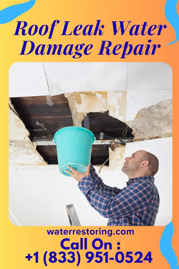 Roof Leak Water Damage Repair in Miltonsburg, OH
