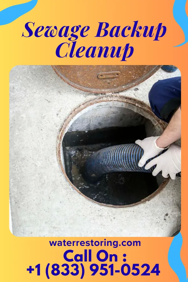 Sewage Backup Cleanup in Miltonsburg, OH