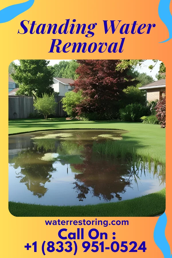 Standing Water Removal in Miltonsburg, OH